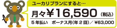 ユーカリプランにすると