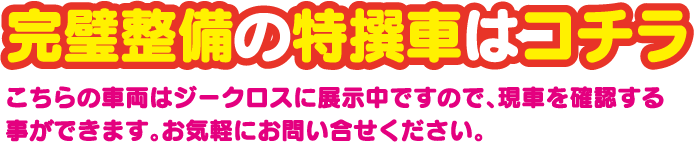 完璧整備の特撰車はコチラ